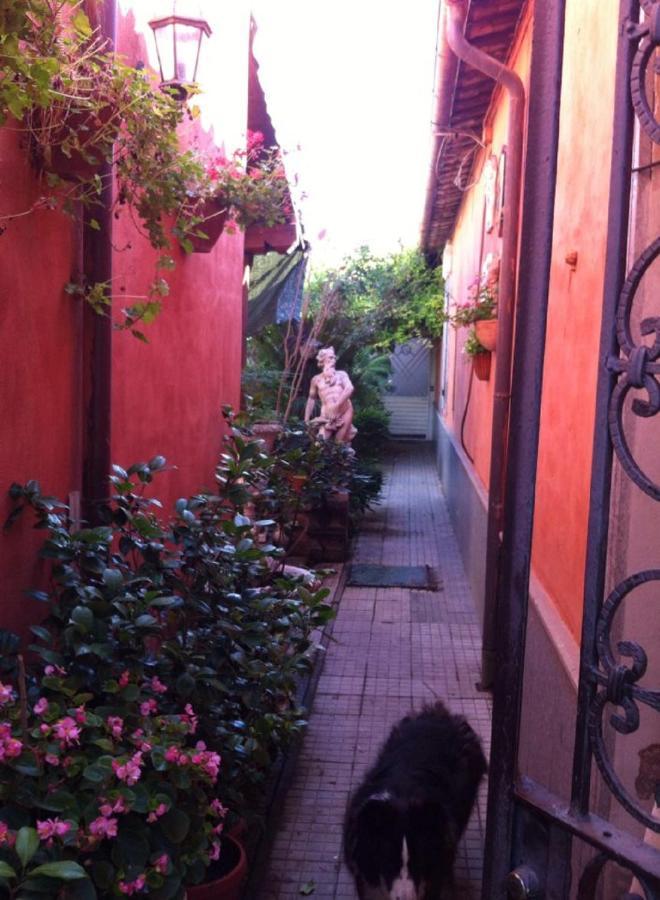 Casa "Oasi" Centro Storico Appartement Tuscania Buitenkant foto