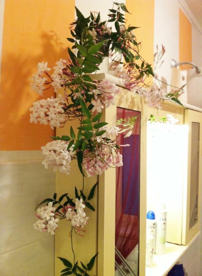 Casa "Oasi" Centro Storico Appartement Tuscania Buitenkant foto