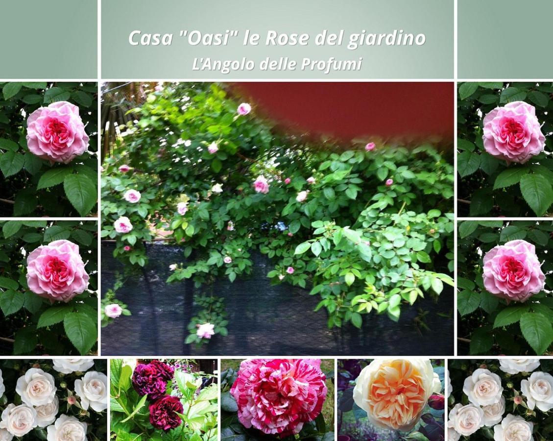Casa "Oasi" Centro Storico Appartement Tuscania Buitenkant foto